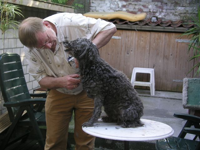 Dat haar moest eraf.