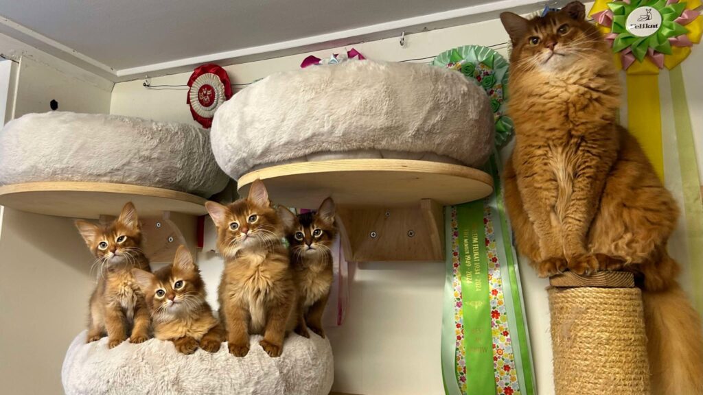 24-11-30 F-nest Negen weken met Bashiir uitgelicht kandidaat